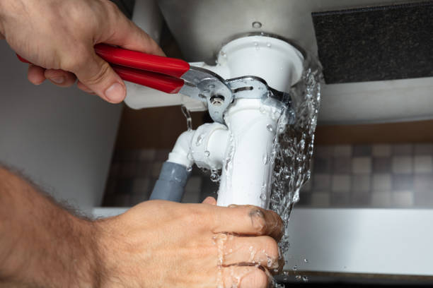 Best Water damage restoration services  in Bowmanstown, PA