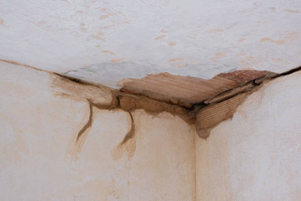 Best 24/7 water damage repair  in Bowmanstown, PA