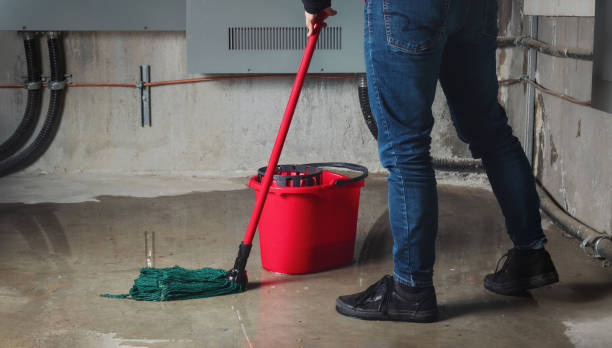 Best Fire Damage Restoration  in Bowmanstown, PA