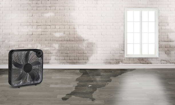  Bowmanstown, PA Water damage restoration Pros