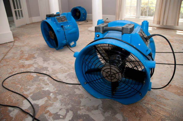 Best Professional water damage repair  in Bowmanstown, PA