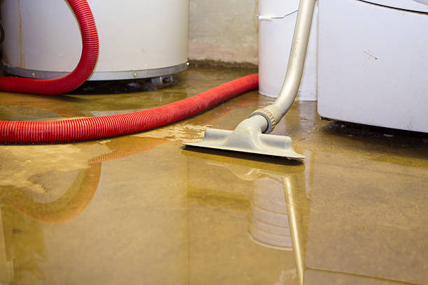 Best Water damage restoration experts  in Bowmanstown, PA