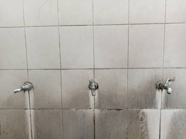 Best Water damage restoration near me  in Bowmanstown, PA