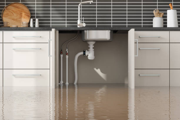 Best Residential water damage restoration  in Bowmanstown, PA