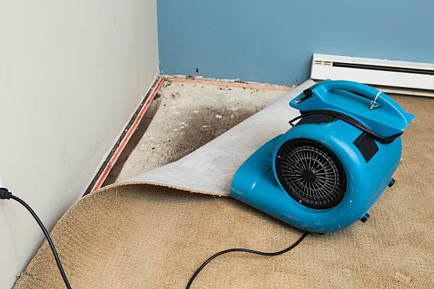 Best Local water damage restoration  in Bowmanstown, PA